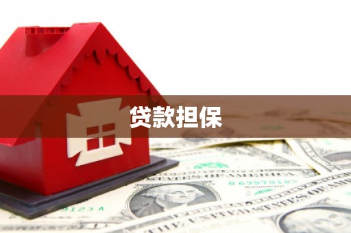 高安贷款担保
