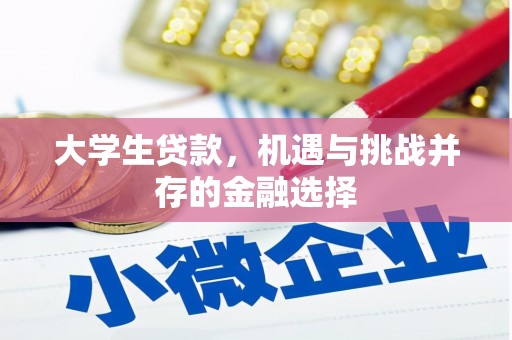 高安大学生贷款，机遇与挑战并存的金融选择