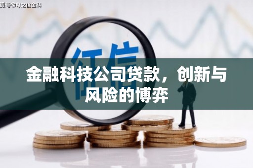 高安金融科技公司贷款，创新与风险的博弈