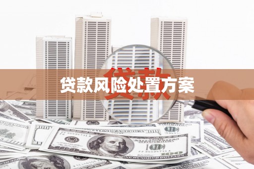 高安贷款风险处置方案