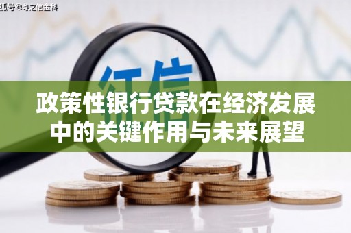 高安政策性银行贷款在经济发展中的关键作用与未来展望