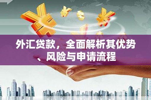 高安外汇贷款，全面解析其优势、风险与申请流程