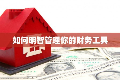 高安如何明智管理你的财务工具