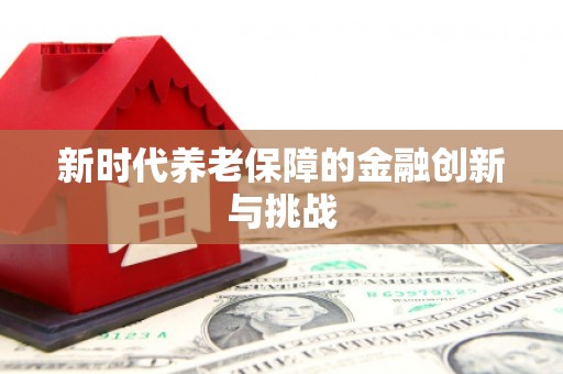 高安新时代养老保障的金融创新与挑战