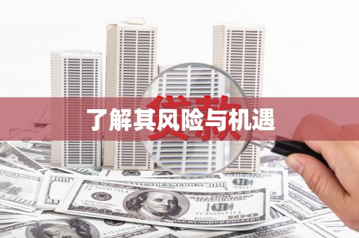 高安了解其风险与机遇