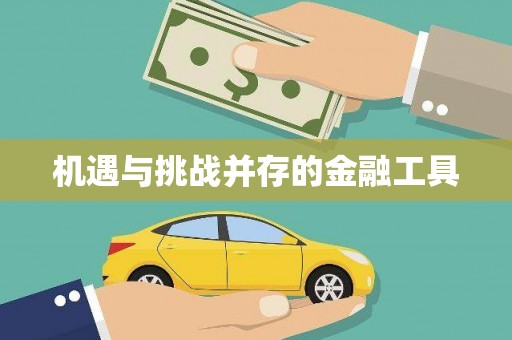 高安机遇与挑战并存的金融工具