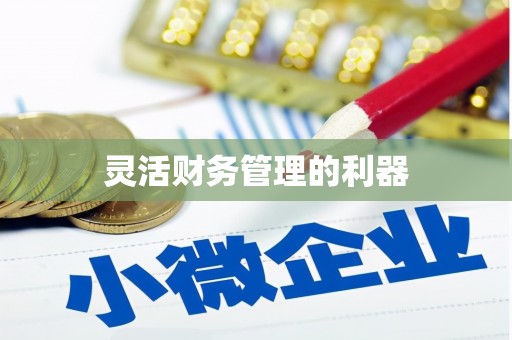 高安灵活财务管理的利器