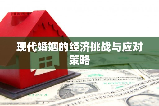 高安现代婚姻的经济挑战与应对策略
