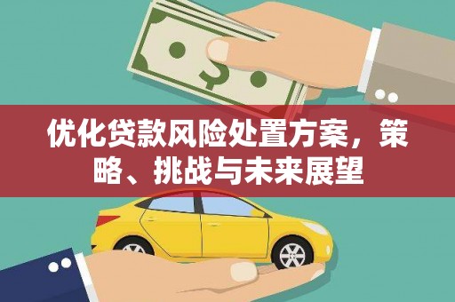 高安优化贷款风险处置方案，策略、挑战与未来展望