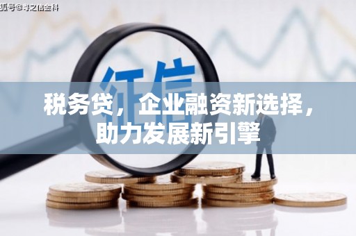 高安税务贷，企业融资新选择，助力发展新引擎