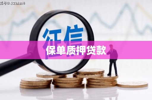 高安保单质押贷款
