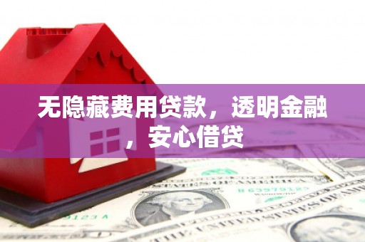 高安无隐藏费用贷款，透明金融，安心借贷