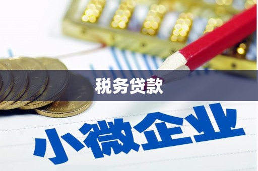 高安税务贷款