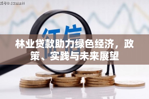高安林业贷款助力绿色经济，政策、实践与未来展望