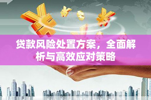 高安贷款风险处置方案，全面解析与高效应对策略