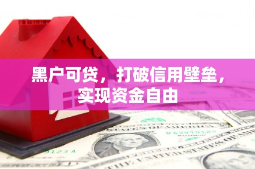 高安黑户可贷，打破信用壁垒，实现资金自由