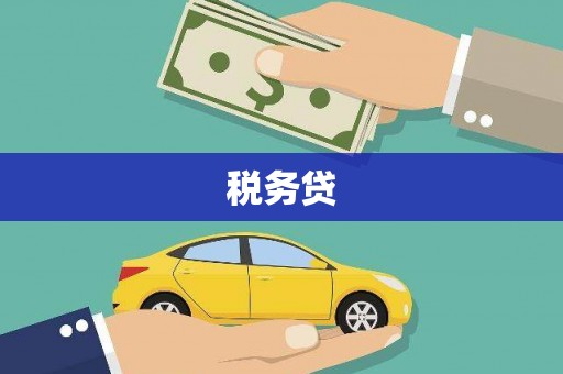 高安税务贷