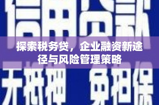 高安探索税务贷，企业融资新途径与风险管理策略