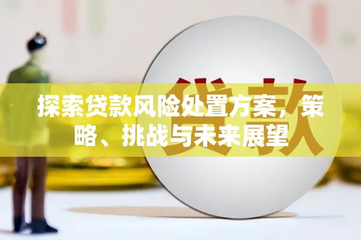 高安探索贷款风险处置方案，策略、挑战与未来展望