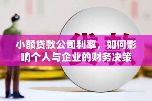 高安小额贷款公司利率，如何影响个人与企业的财务决策