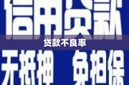 高安贷款不良率