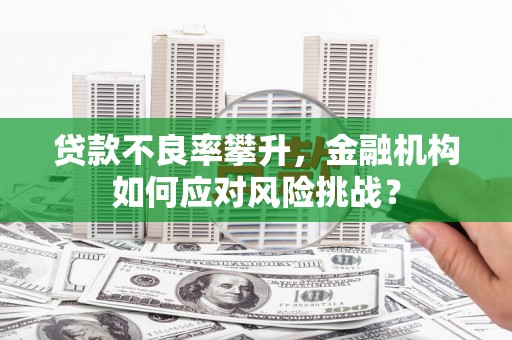 高安贷款不良率攀升，金融机构如何应对风险挑战？