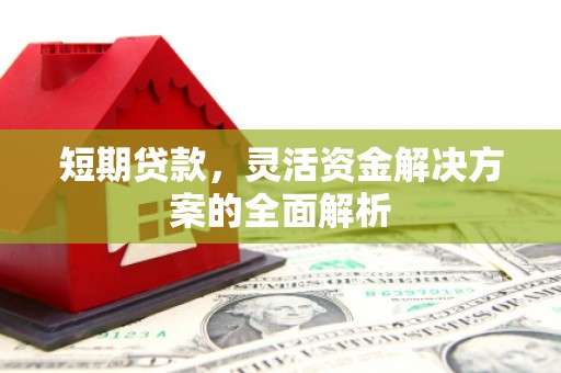 高安短期贷款，灵活资金解决方案的全面解析