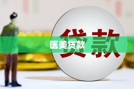 高安医美贷款