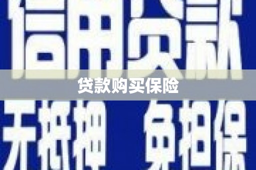 高安贷款购买保险