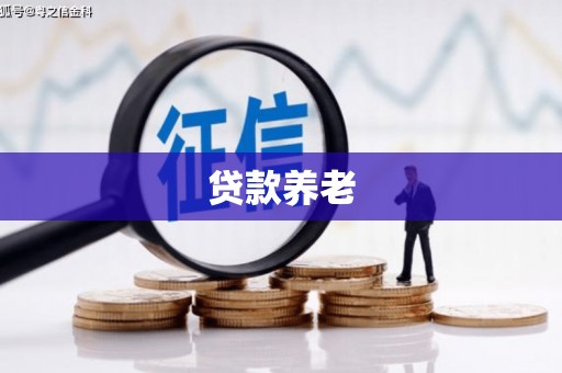 高安贷款养老