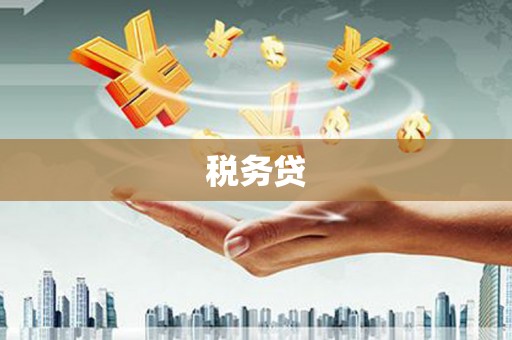 高安税务贷