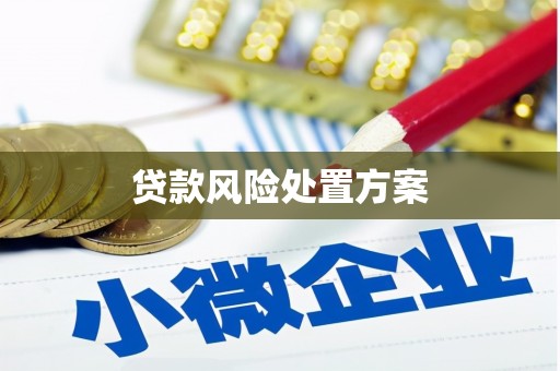 高安贷款风险处置方案