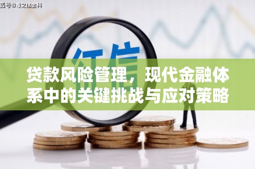 高安贷款风险管理，现代金融体系中的关键挑战与应对策略