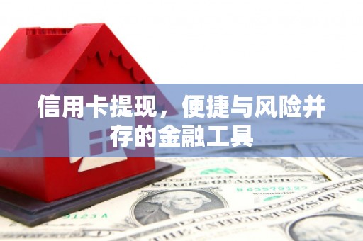 高安信用卡提现，便捷与风险并存的金融工具