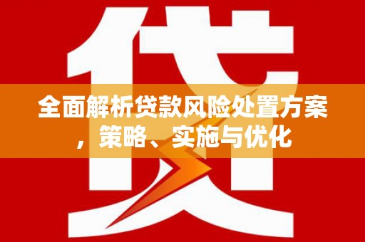高安全面解析贷款风险处置方案，策略、实施与优化
