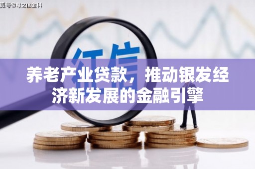 高安养老产业贷款，推动银发经济新发展的金融引擎
