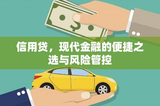 高安信用贷，现代金融的便捷之选与风险管控