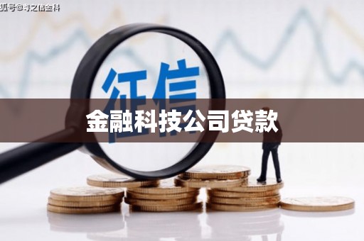 高安金融科技公司贷款