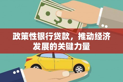 高安政策性银行贷款，推动经济发展的关键力量