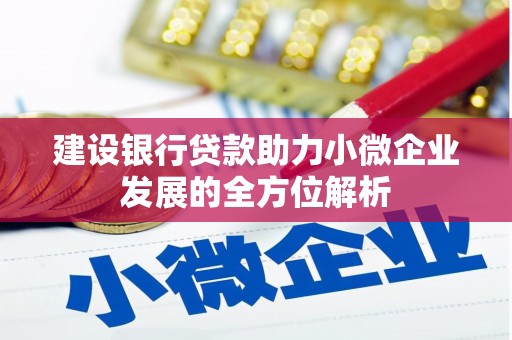 高安建设银行贷款助力小微企业发展的全方位解析