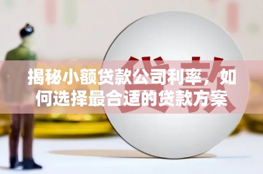 高安揭秘小额贷款公司利率，如何选择最合适的贷款方案