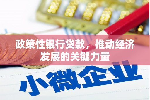 高安政策性银行贷款，推动经济发展的关键力量