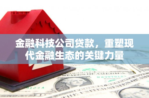 高安金融科技公司贷款，重塑现代金融生态的关键力量