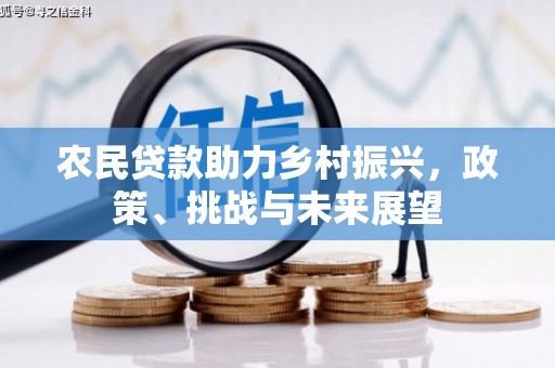 高安农民贷款助力乡村振兴，政策、挑战与未来展望