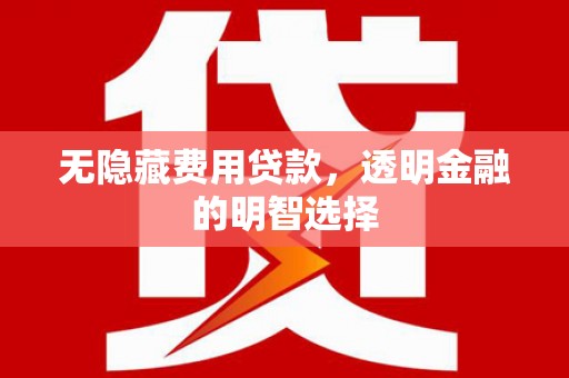 高安无隐藏费用贷款，透明金融的明智选择