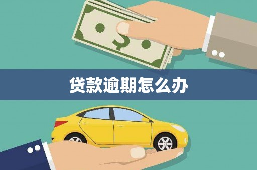 高安贷款逾期怎么办
