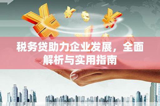 高安税务贷助力企业发展，全面解析与实用指南