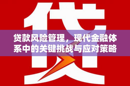 高安贷款风险管理，现代金融体系中的关键挑战与应对策略