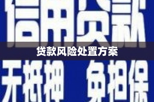 高安贷款风险处置方案