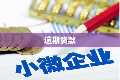高安逾期贷款